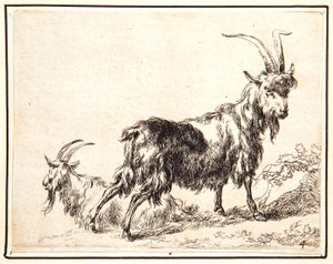 Cabras de Nicolaes Pietersz. Berchem